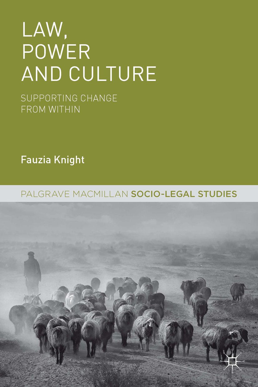 Palgrave Socio-Legal Studies