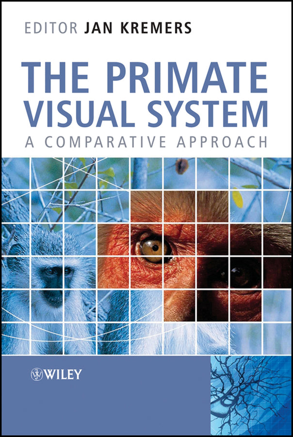 The Primate Visual System
