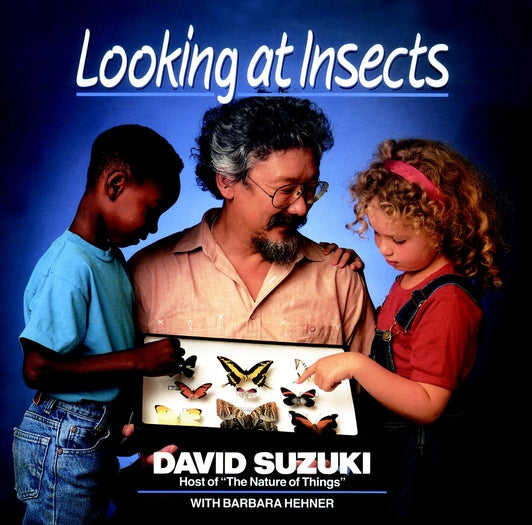 Looking at Insects