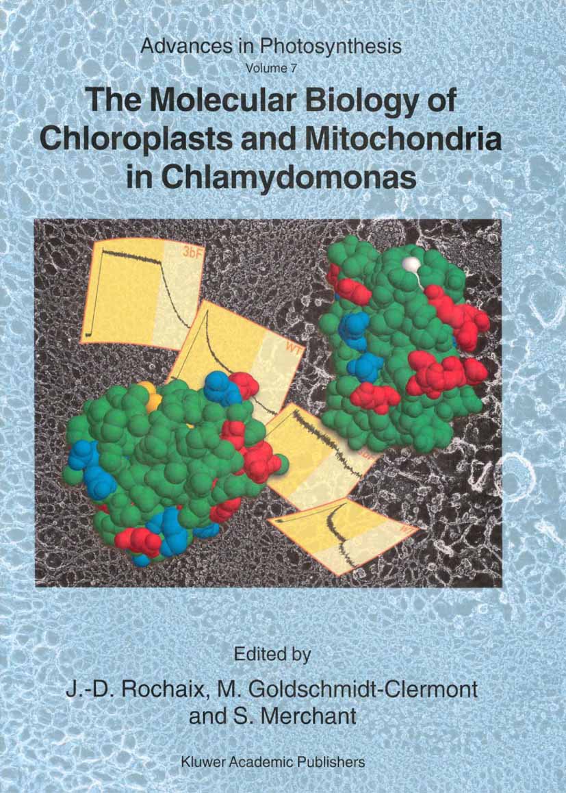 Advances in Photosynthesis and Respiration