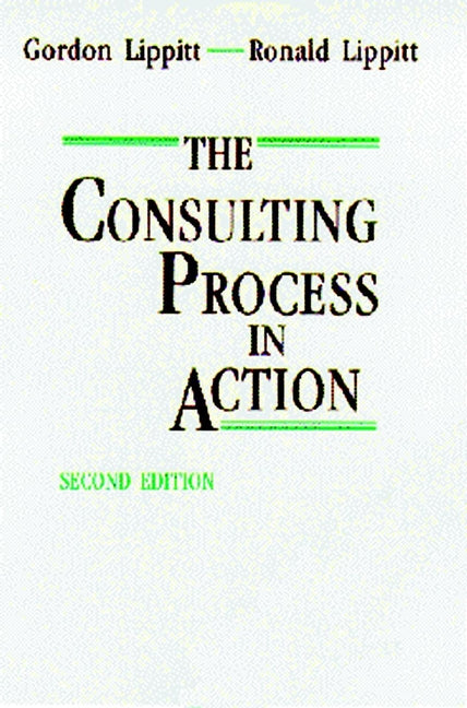 The Consulting Process in Action