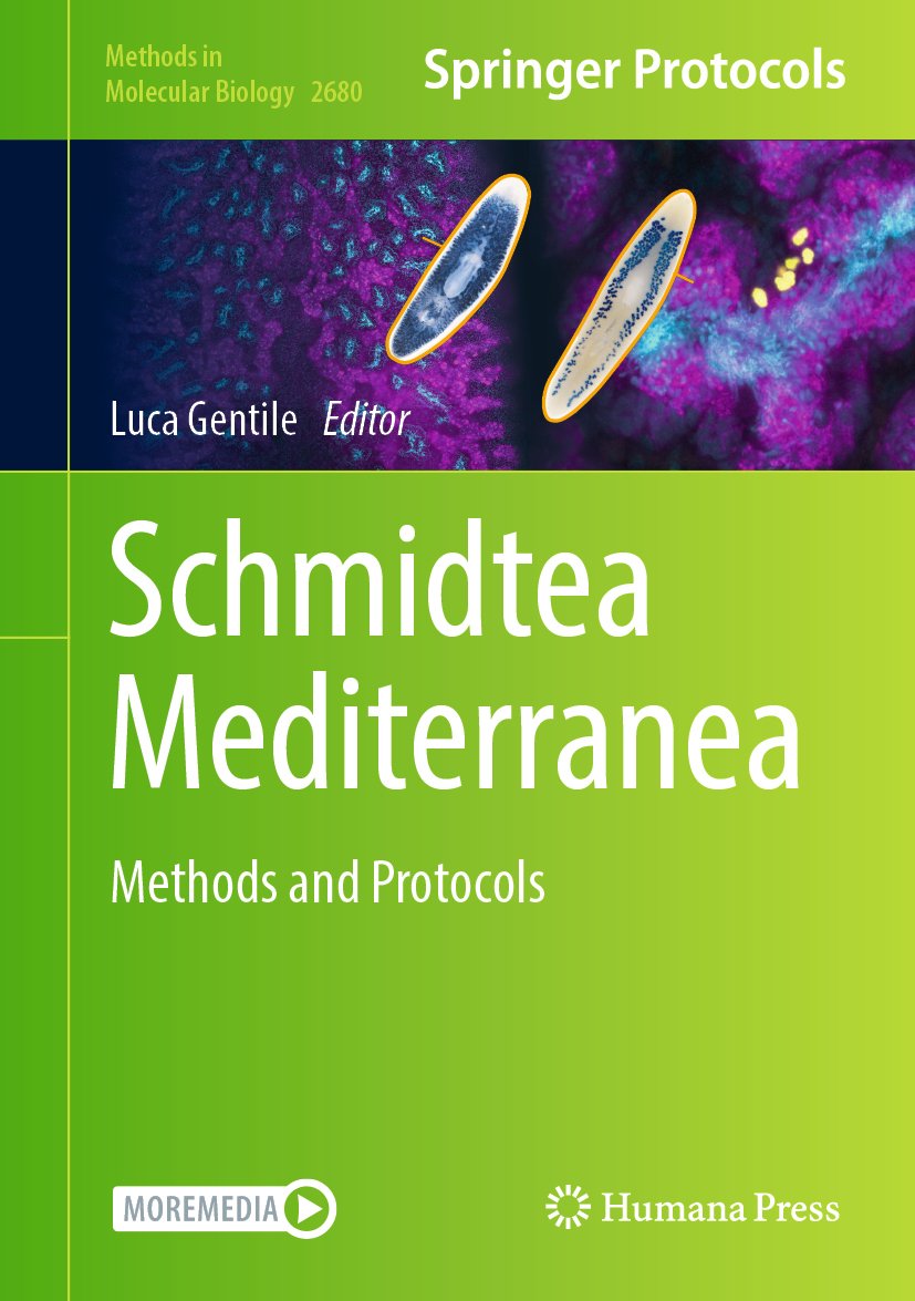 Schmidtea Mediterranea