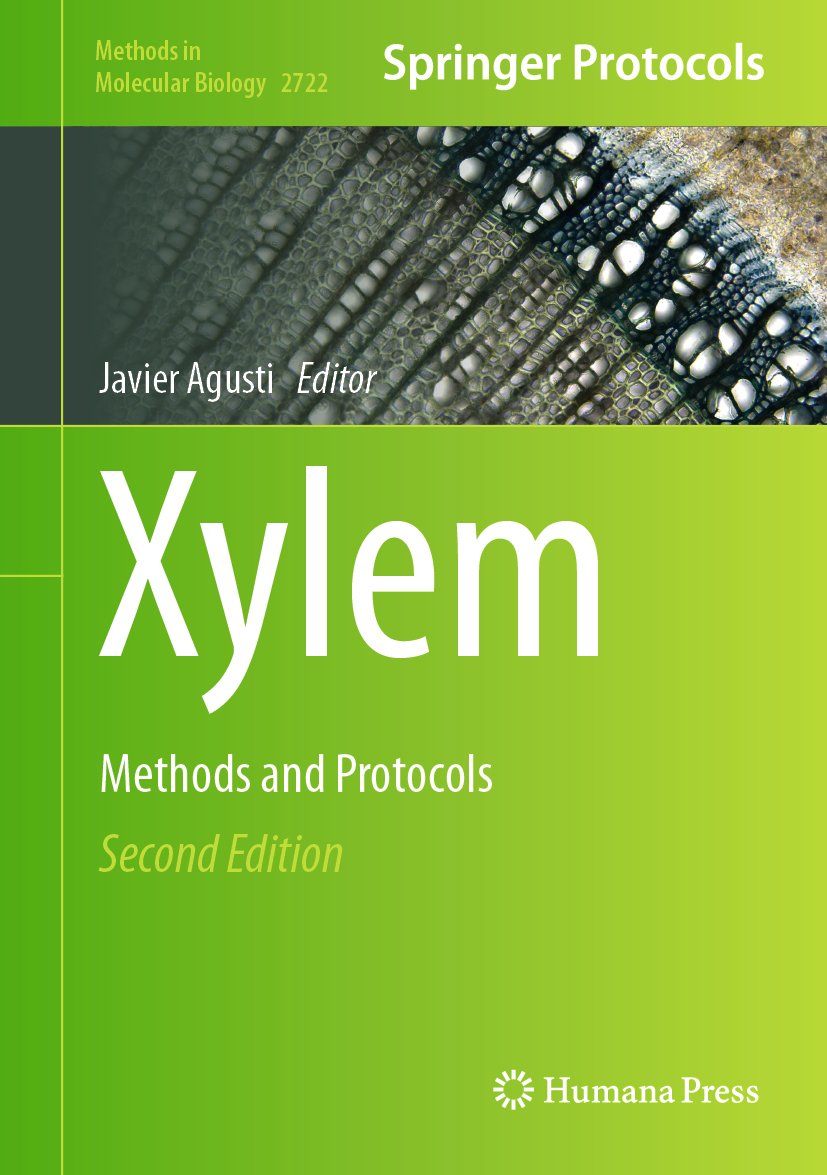 Xylem