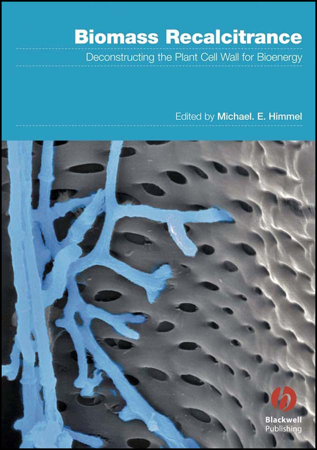 Biomass Recalcitrance