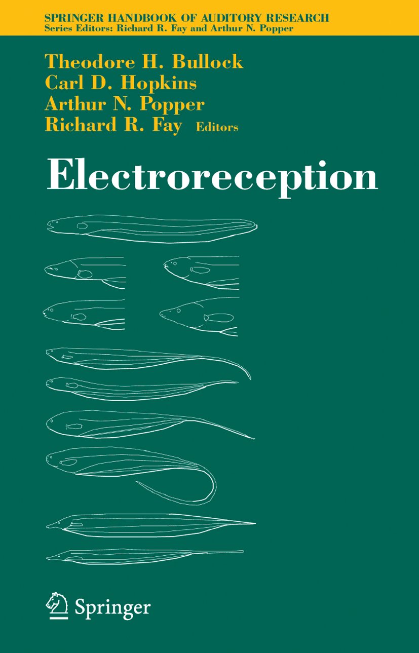 Springer Handbook of Auditory Research