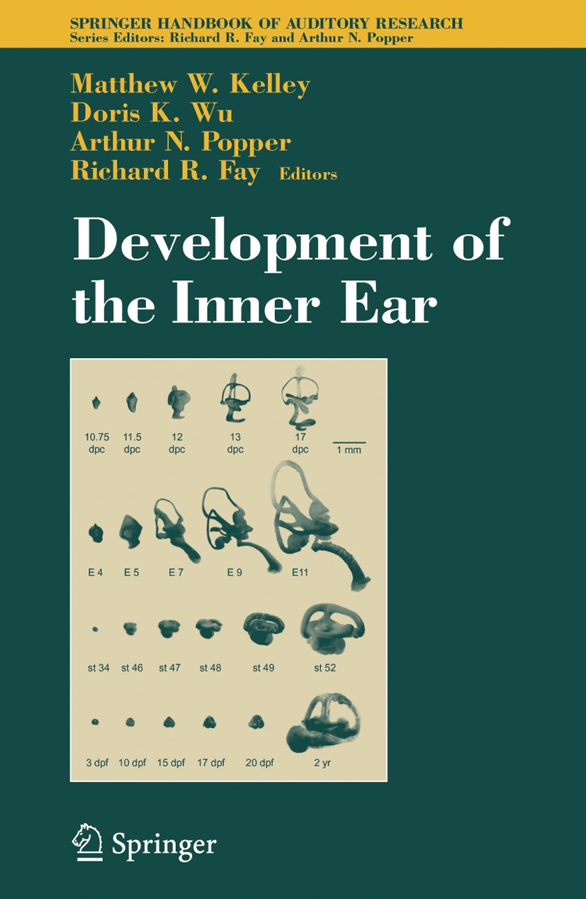 Springer Handbook of Auditory Research