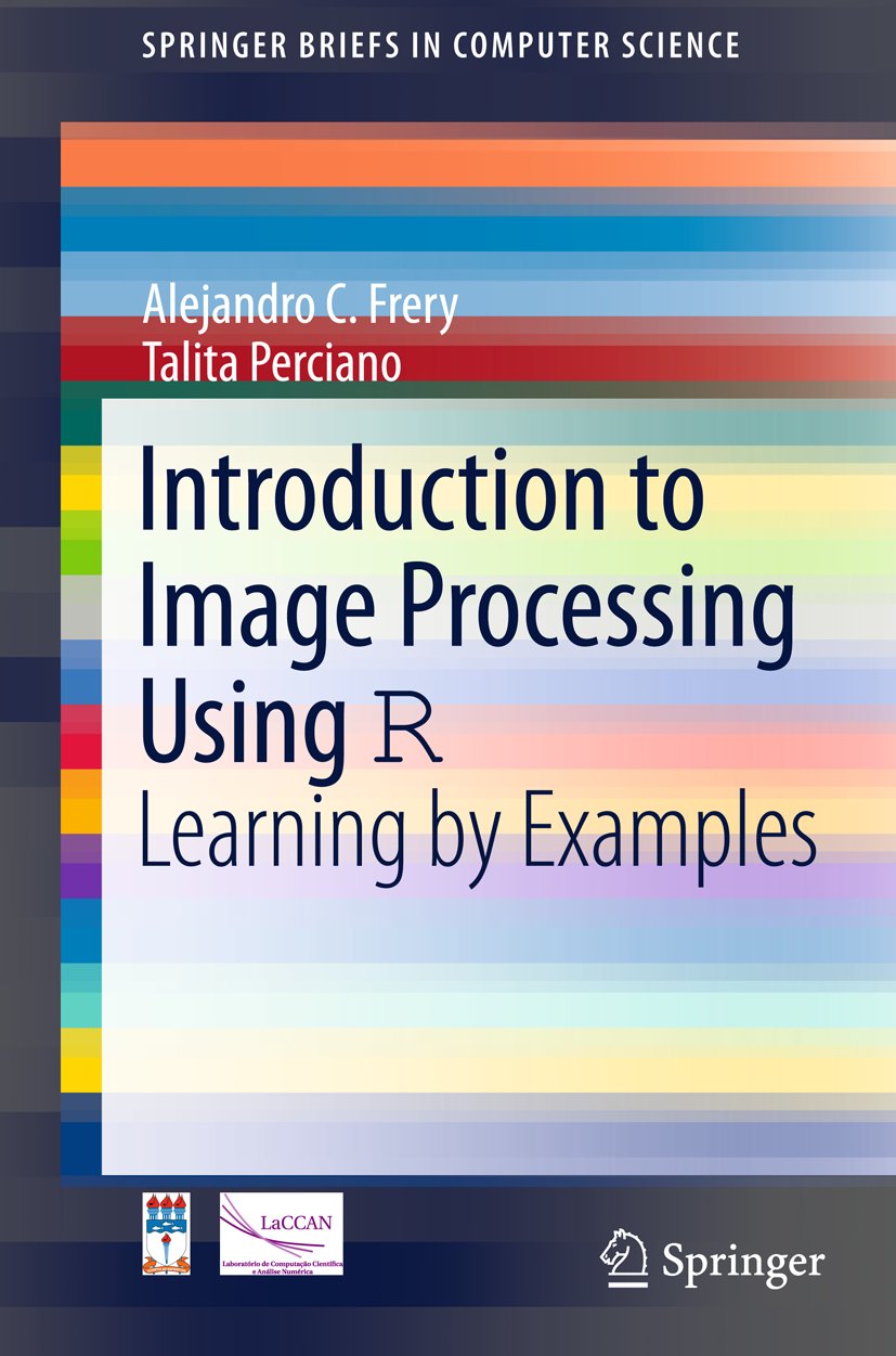 SpringerBriefs in Computer Science