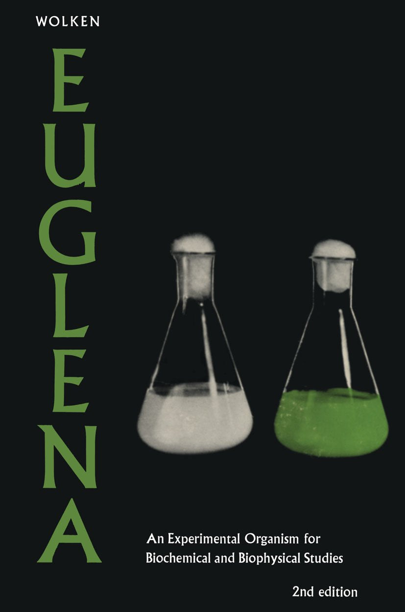 Euglena