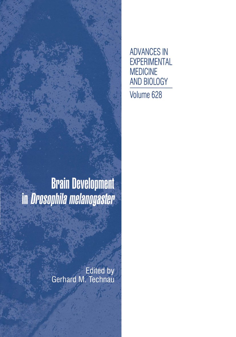 Brain Development in Drosophila melanogaster