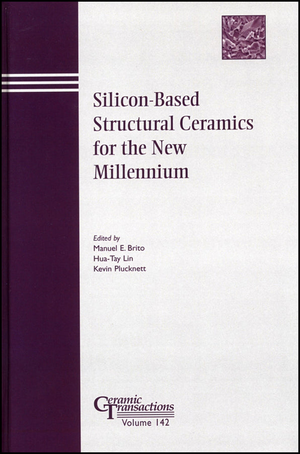 Silicon-Based Structural Ceramics for the New Millennium