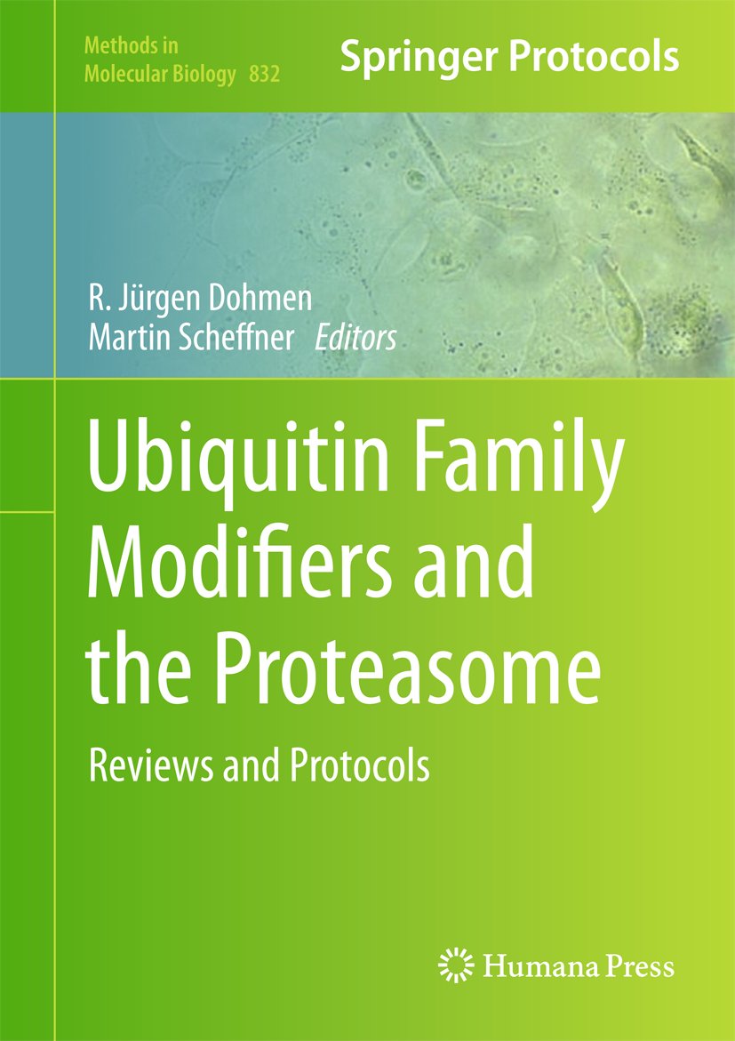 Ubiquitin Family Modifiers and the Proteasome