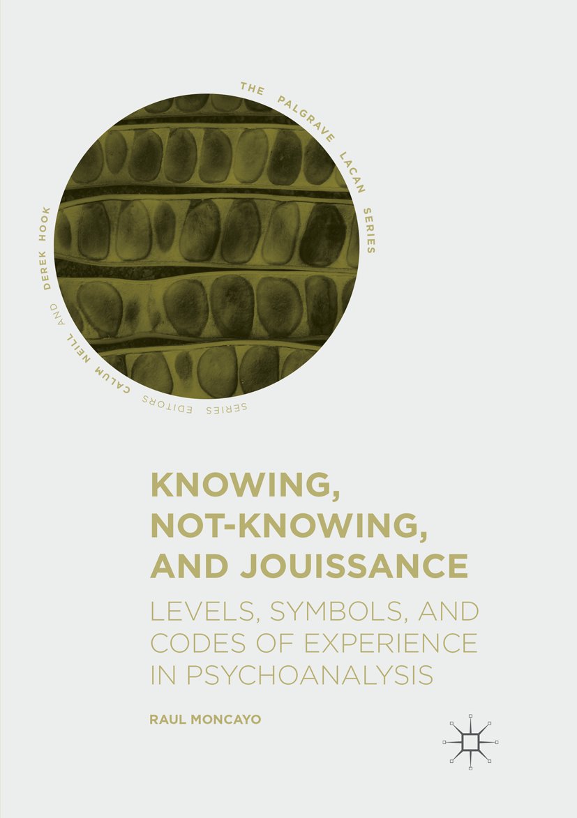 The Palgrave Lacan Series