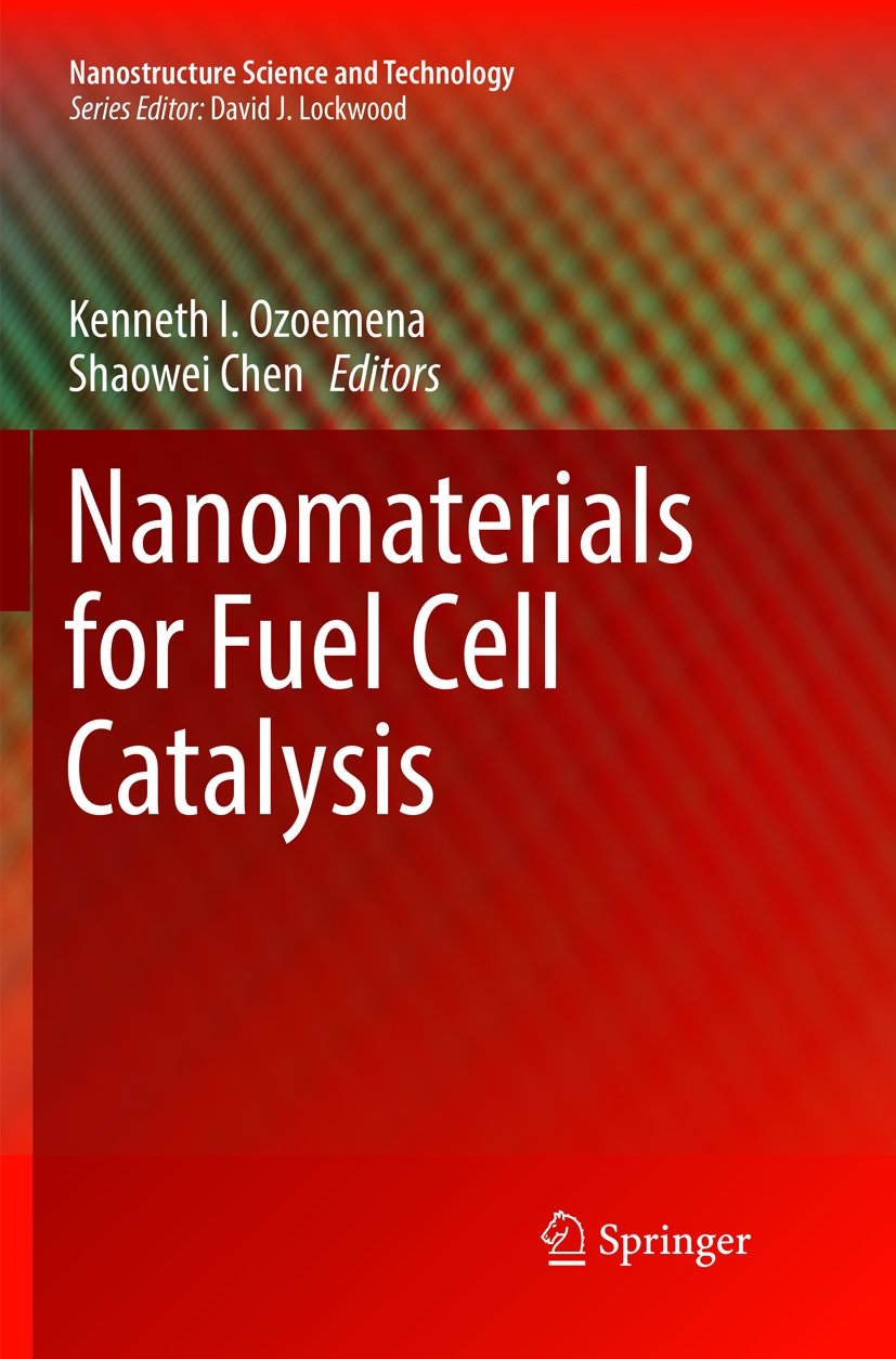 Nanostructure Science and Technology