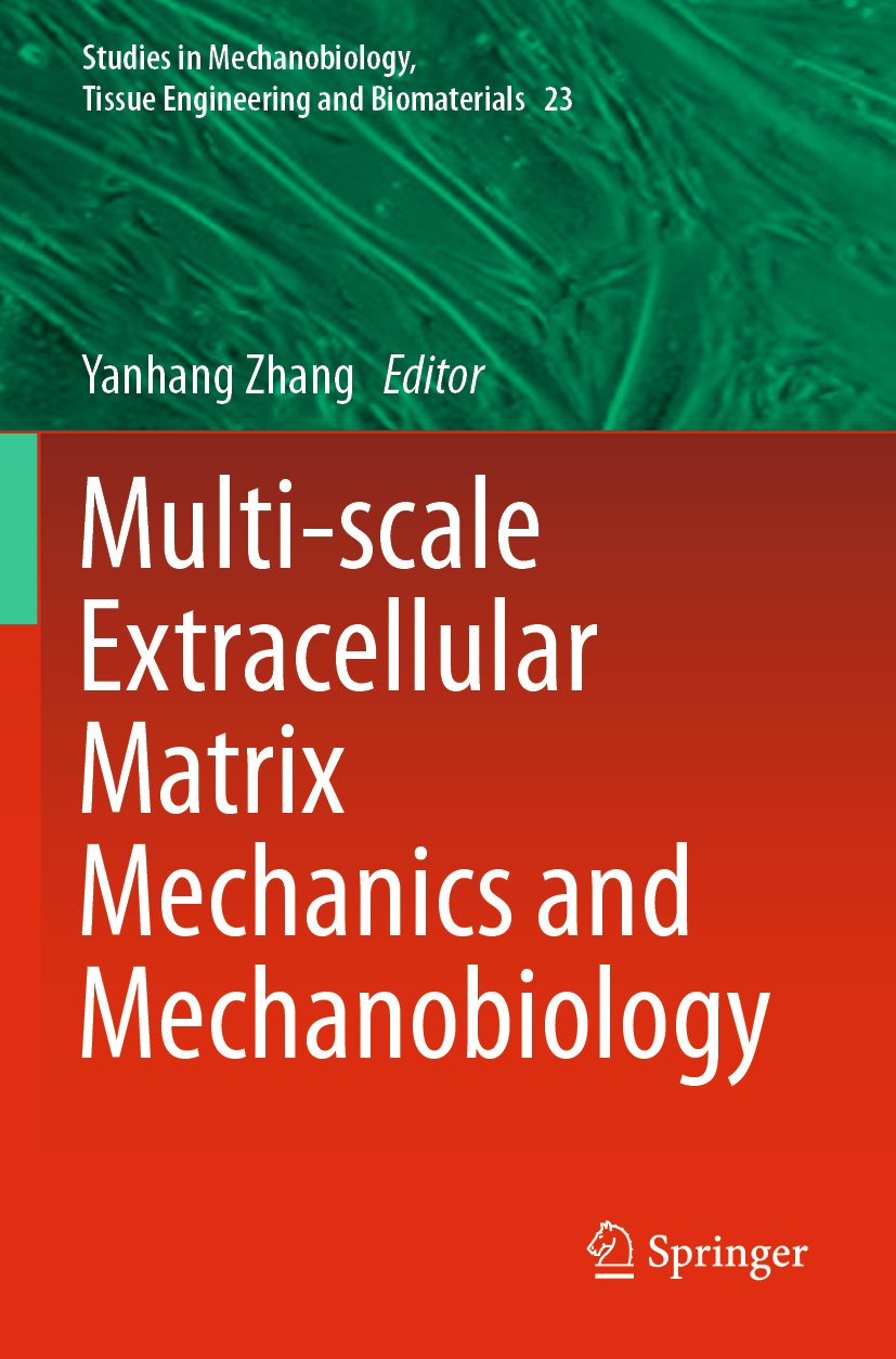 Studies in Mechanobiology, Tissue Engineering and Biomaterials