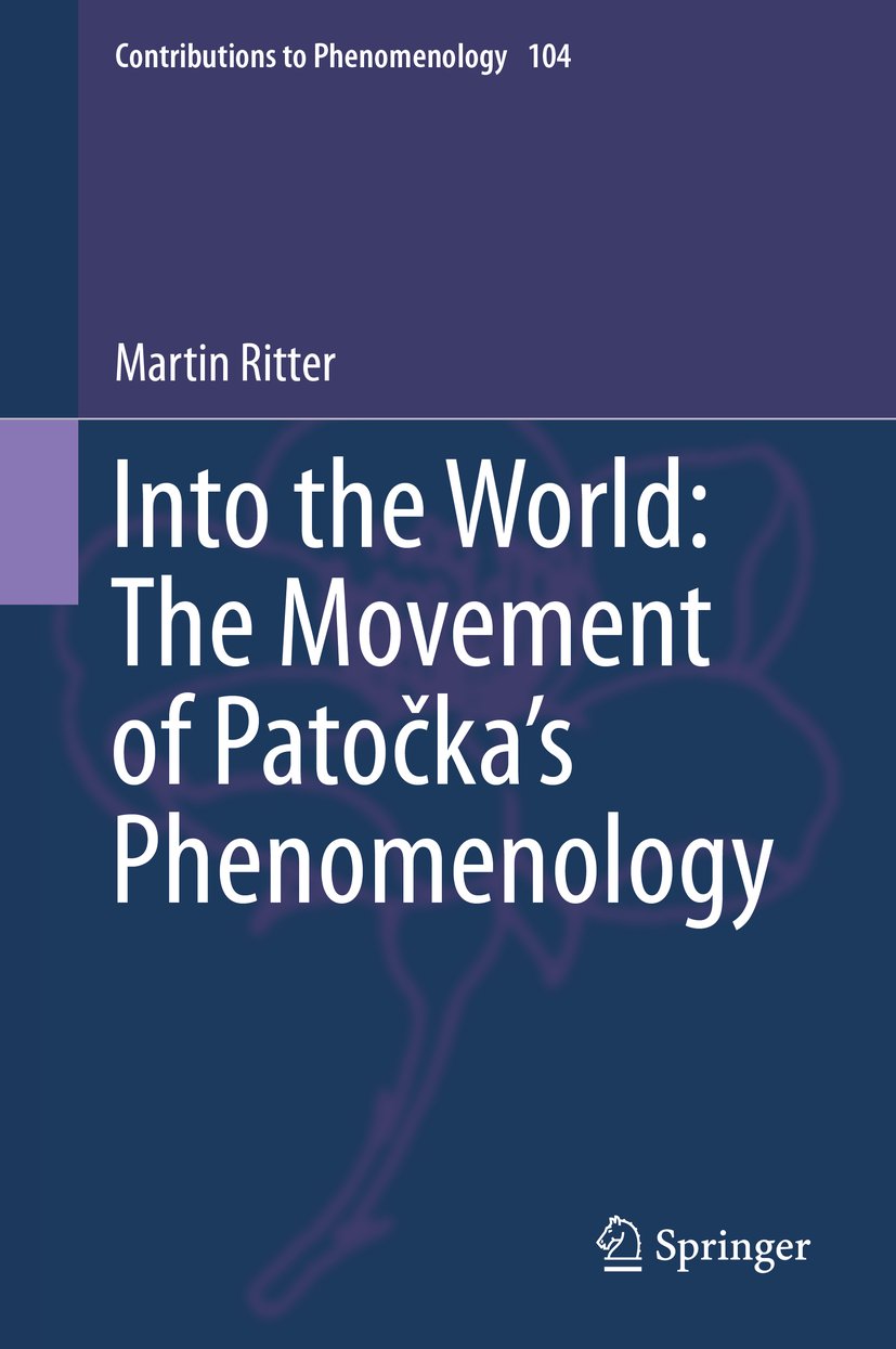 Contributions to Phenomenology