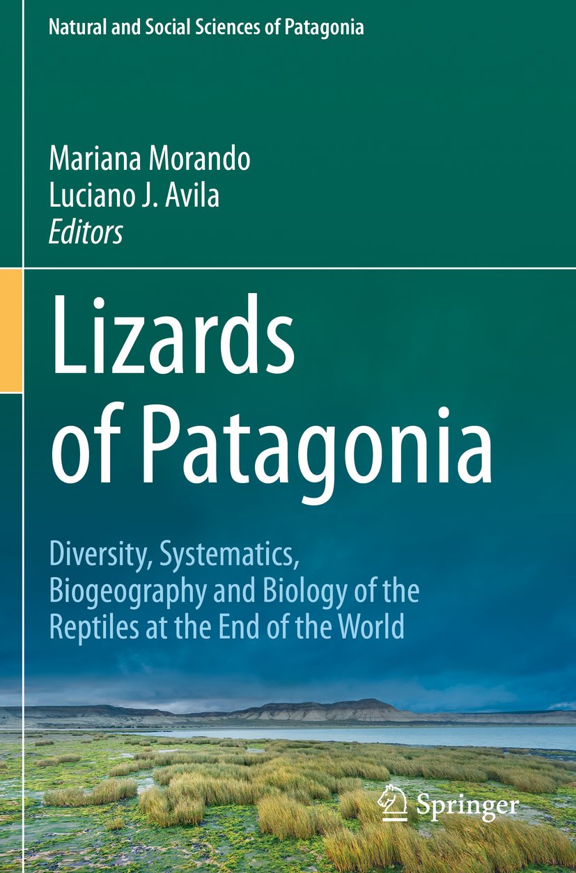 Lizards of Patagonia