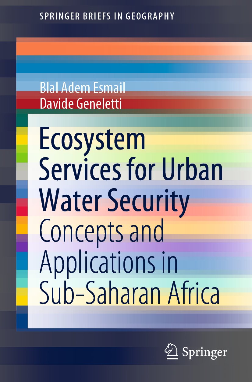 SpringerBriefs in Geography