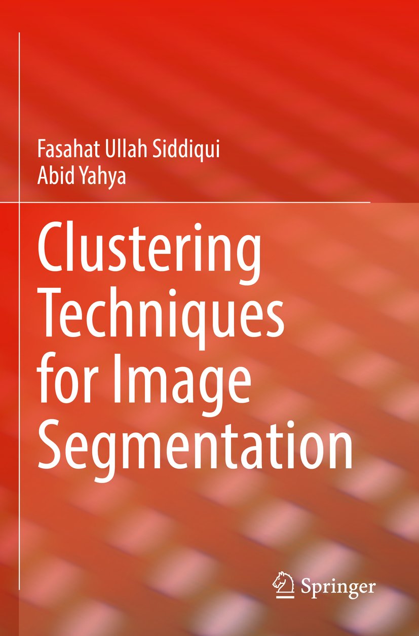 Clustering Techniques for Image Segmentation
