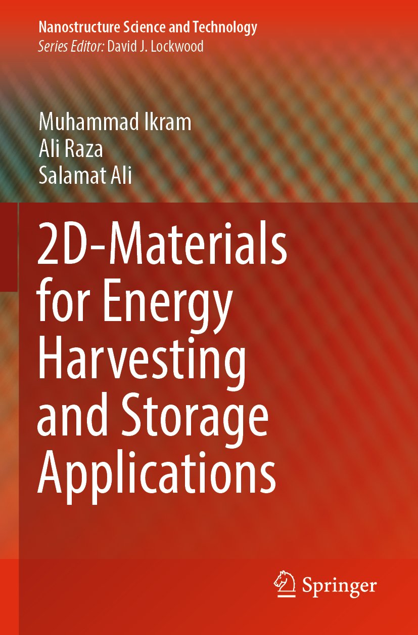 Nanostructure Science and Technology