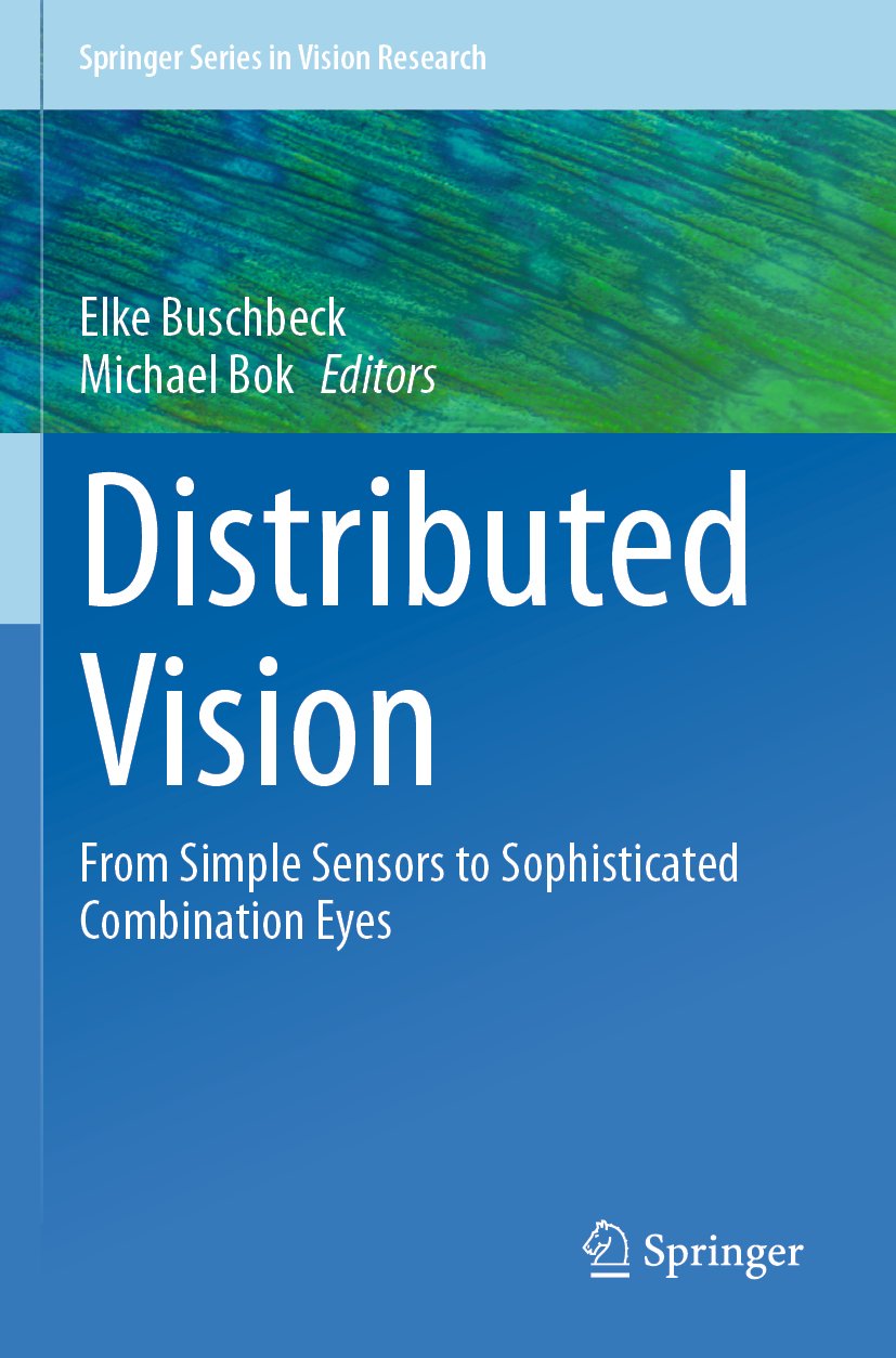 Springer Series in Vision Research
