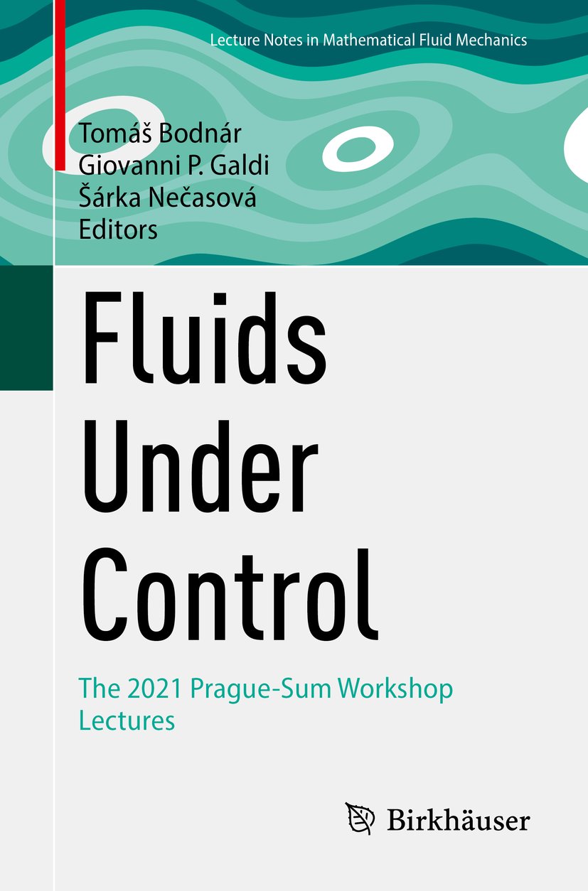 Advances in Mathematical Fluid Mechanics