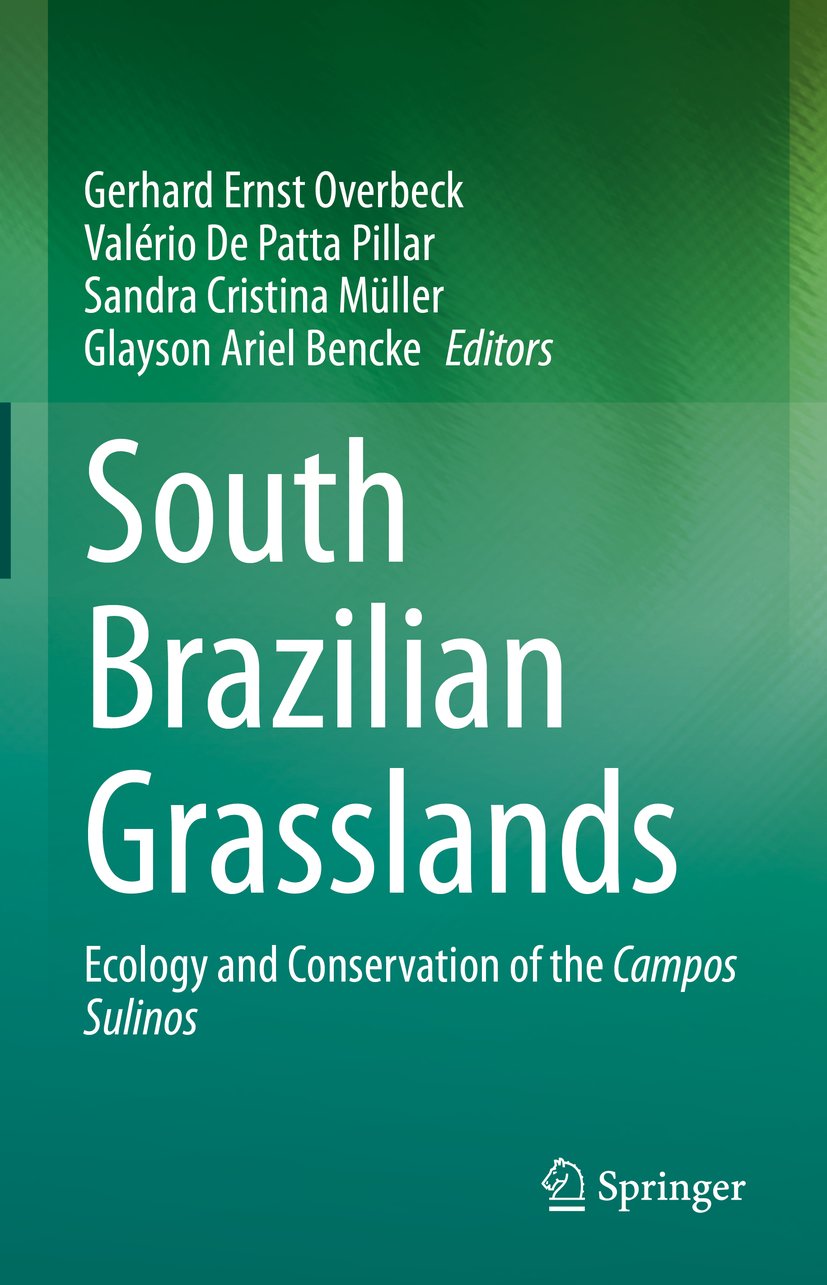 South Brazilian Grasslands