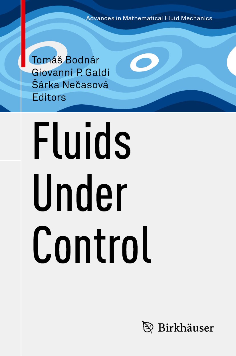 Advances in Mathematical Fluid Mechanics