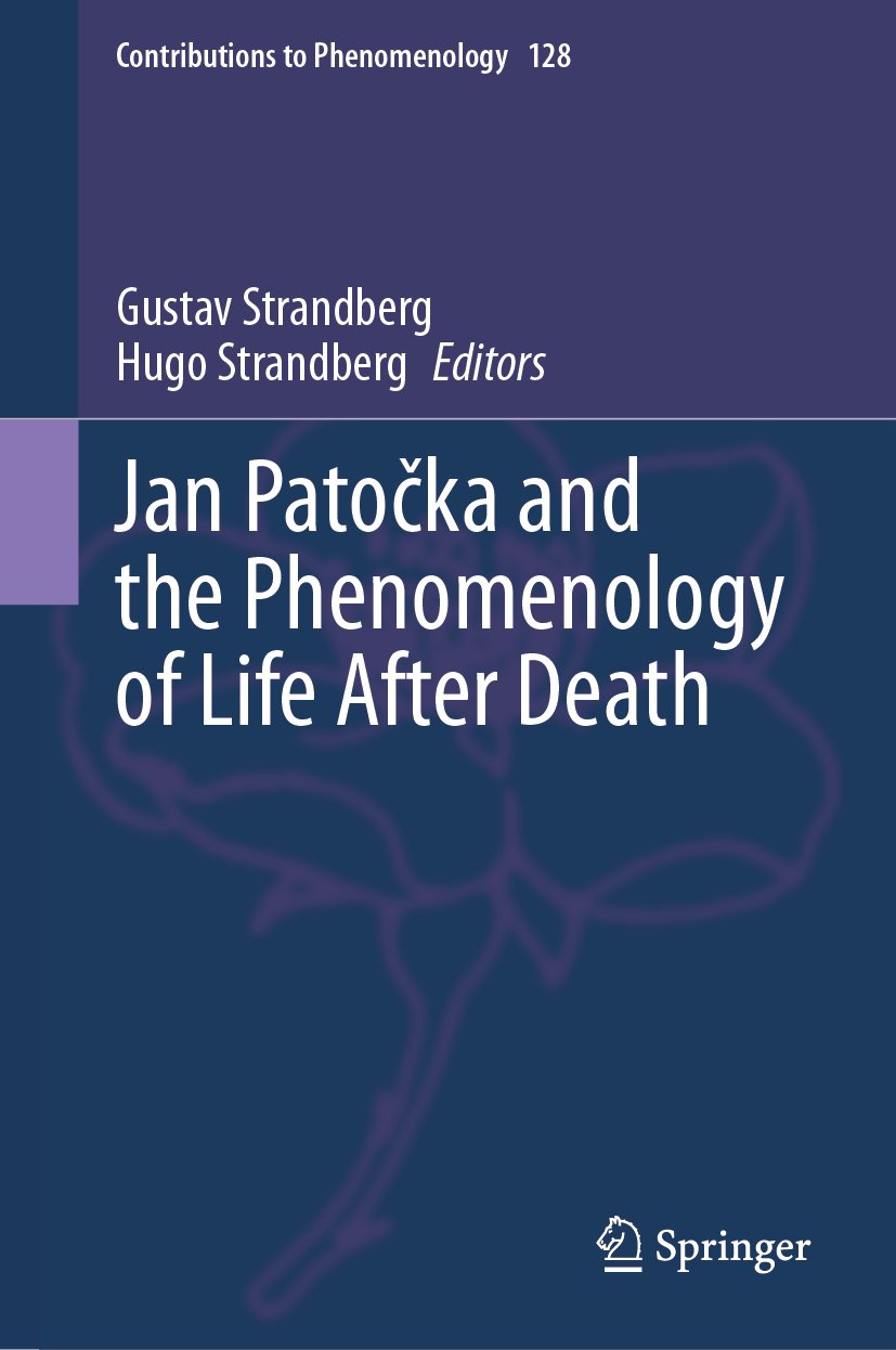 Contributions to Phenomenology