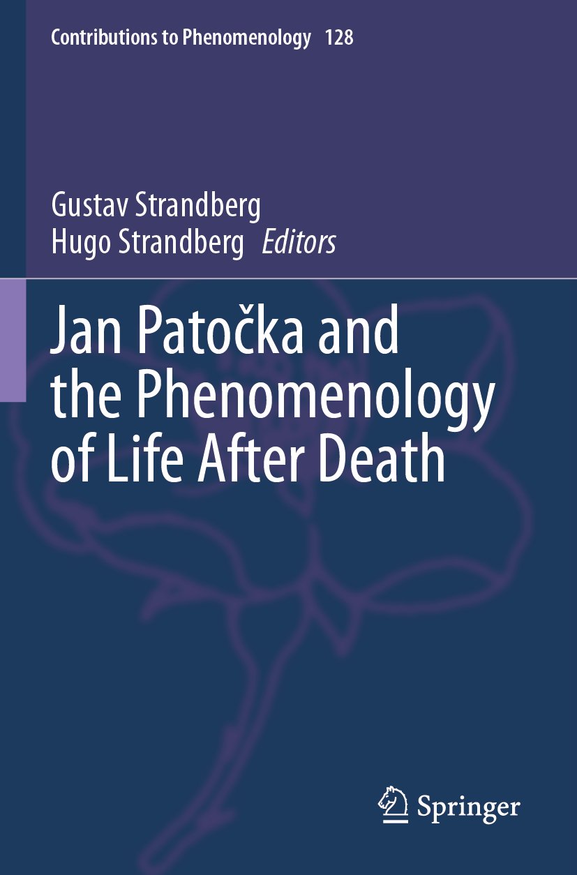 Contributions to Phenomenology