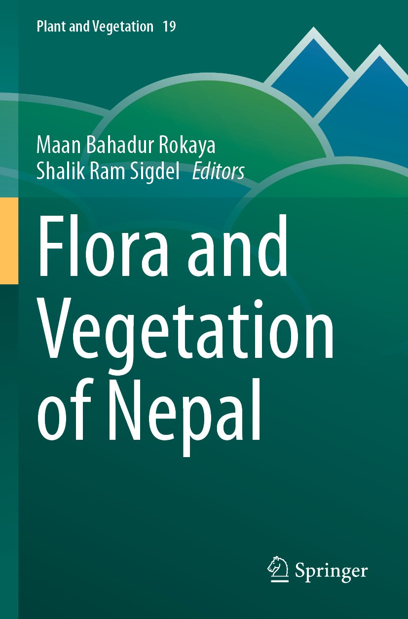 Plant and Vegetation