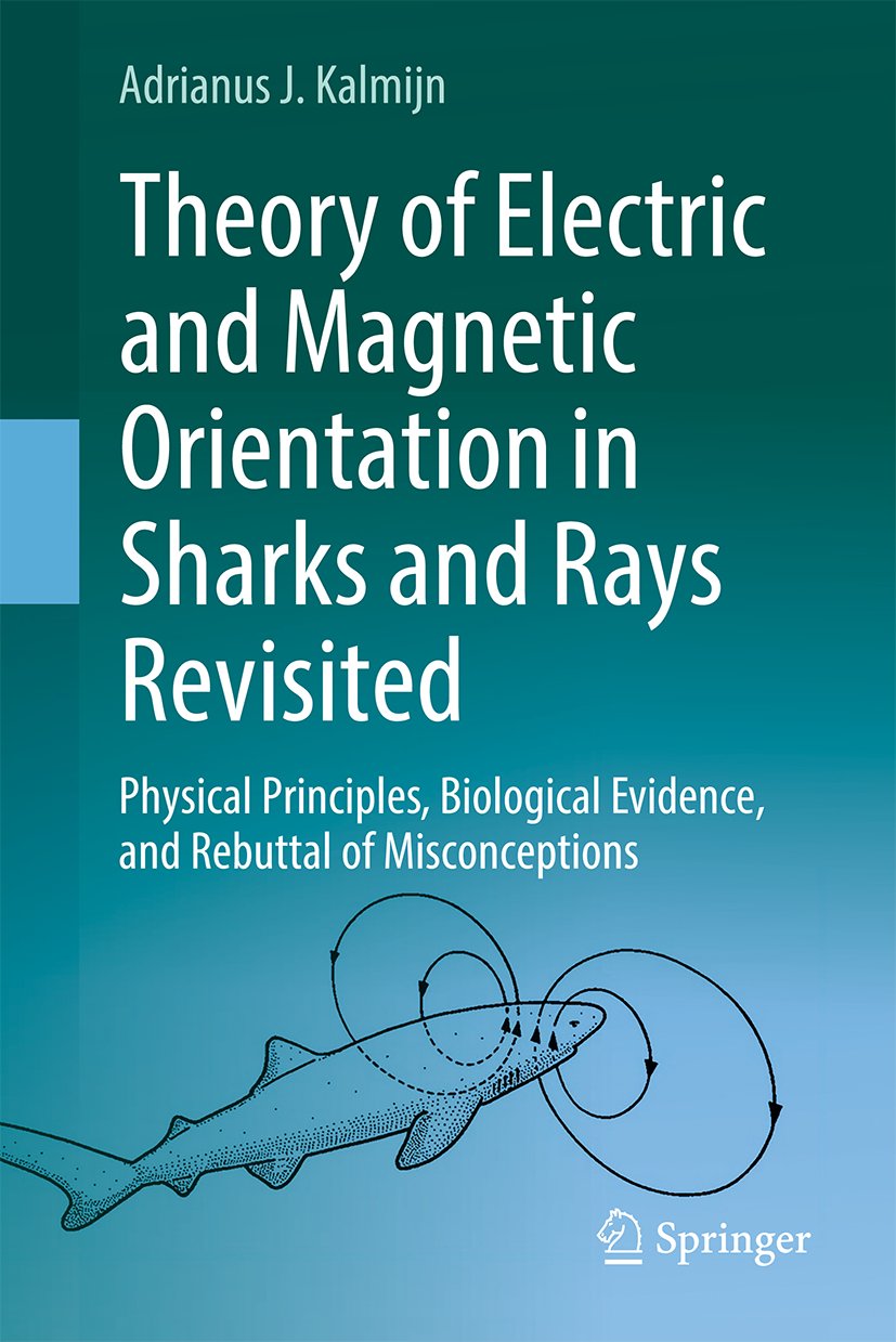 Theory of Electric and Magnetic Orientation in Sharks and Rays Revisited