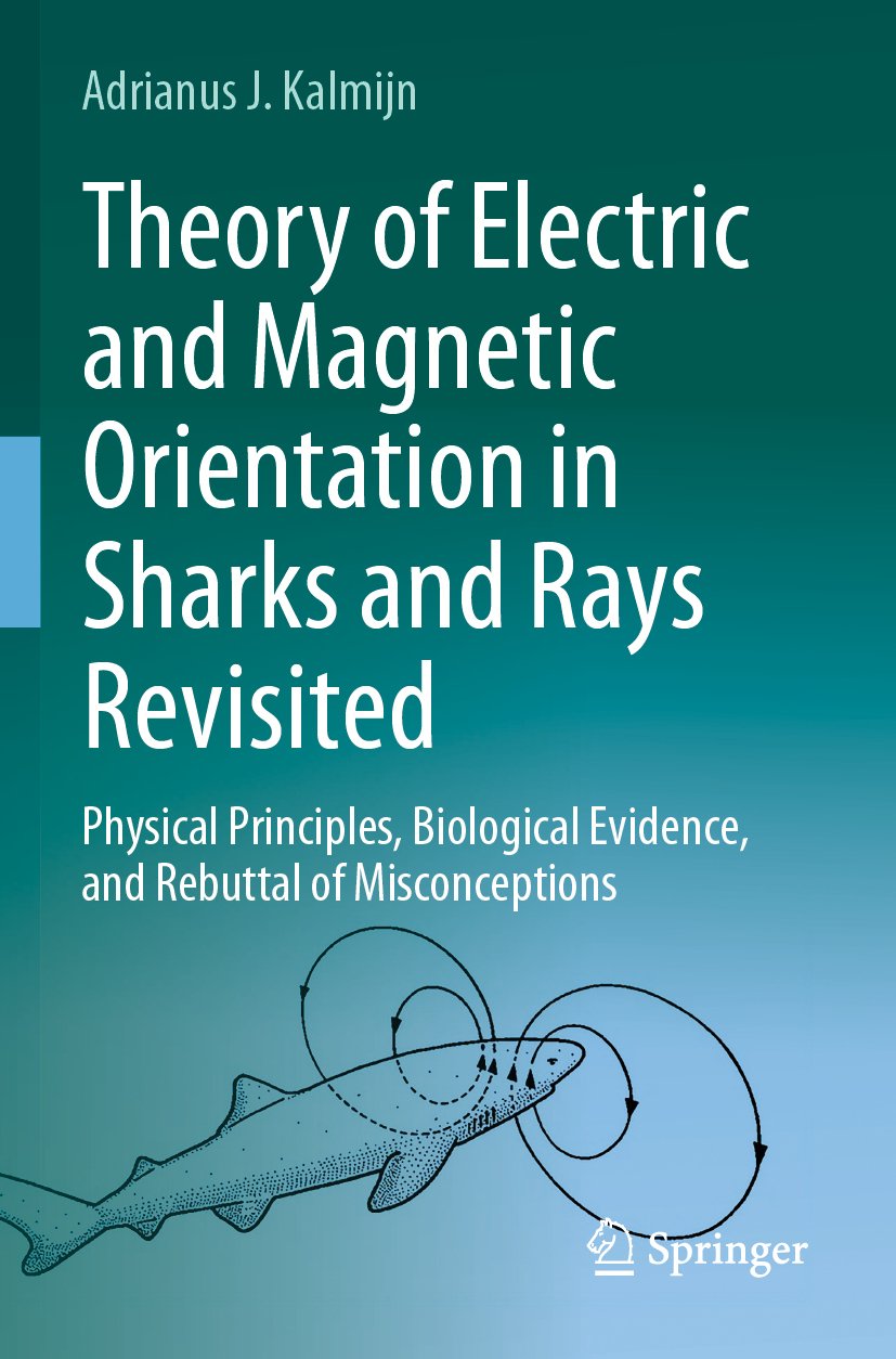 Theory of Electric and Magnetic Orientation in Sharks and Rays Revisited