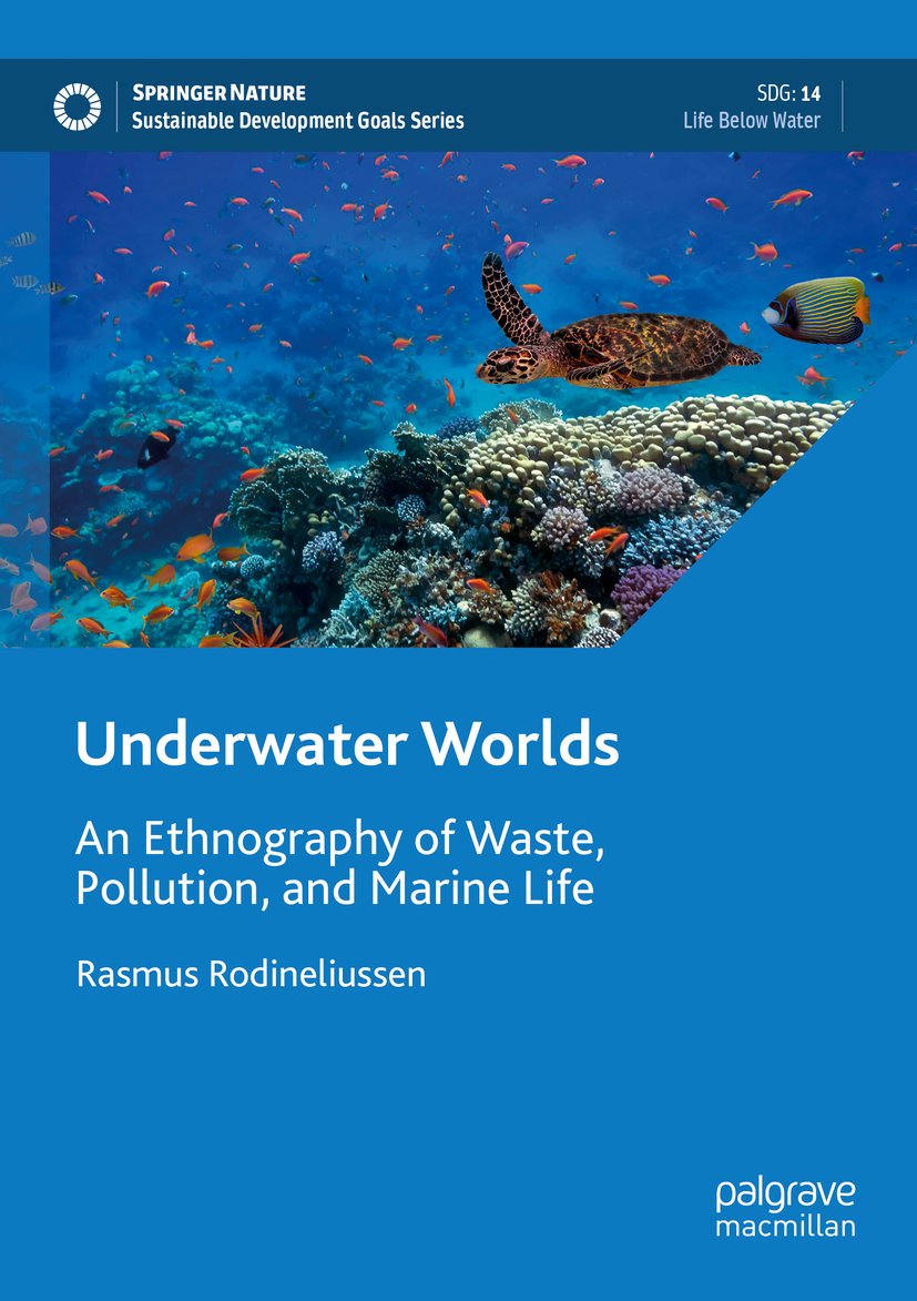 Sustainable Development Goals Series