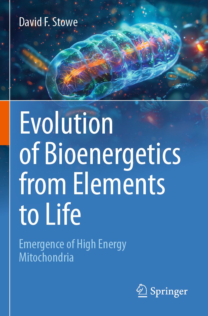 Evolution of Bioenergetics from Elements to Life