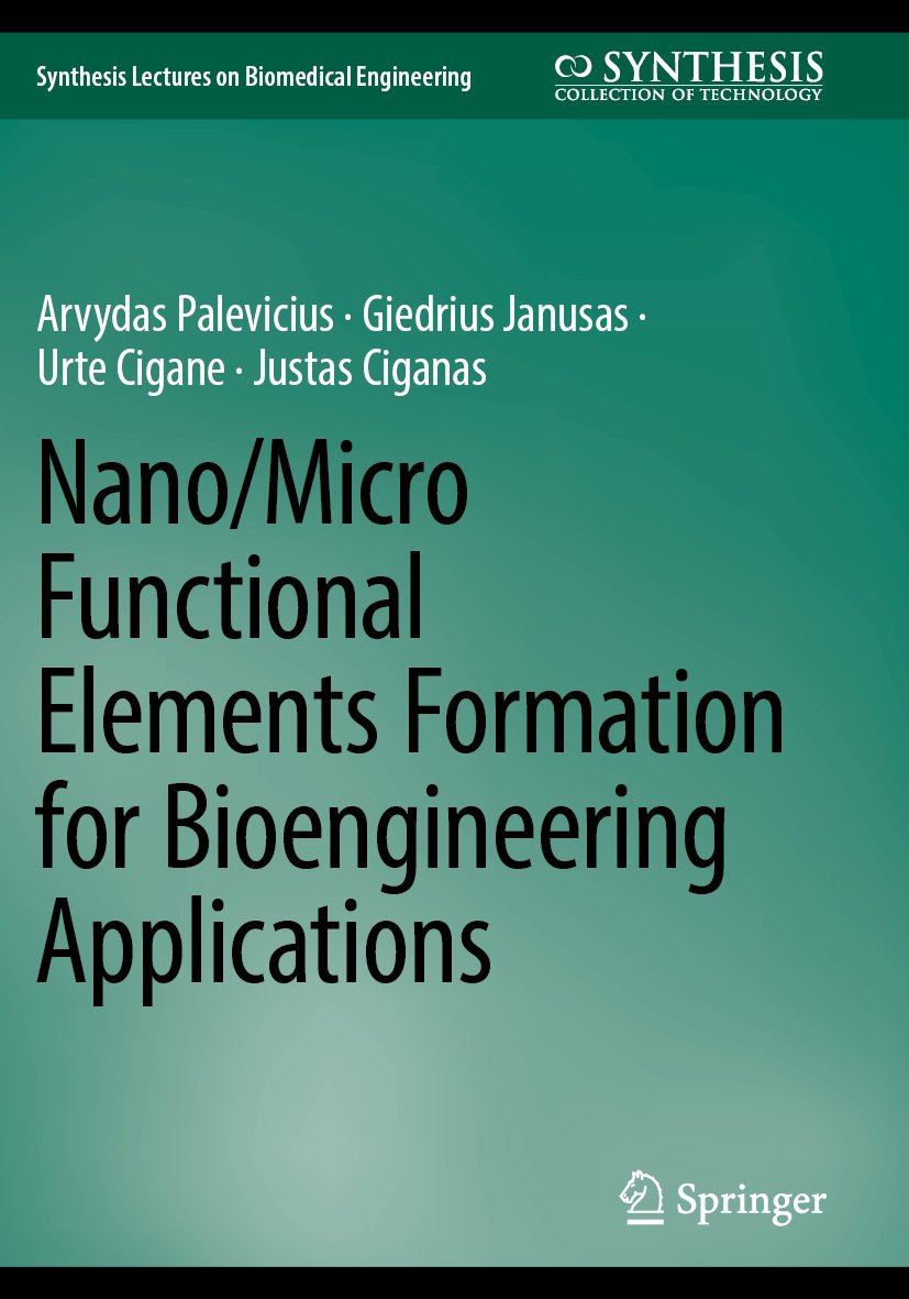 Nano/Micro Functional Elements Formation for Bioengineering Applications