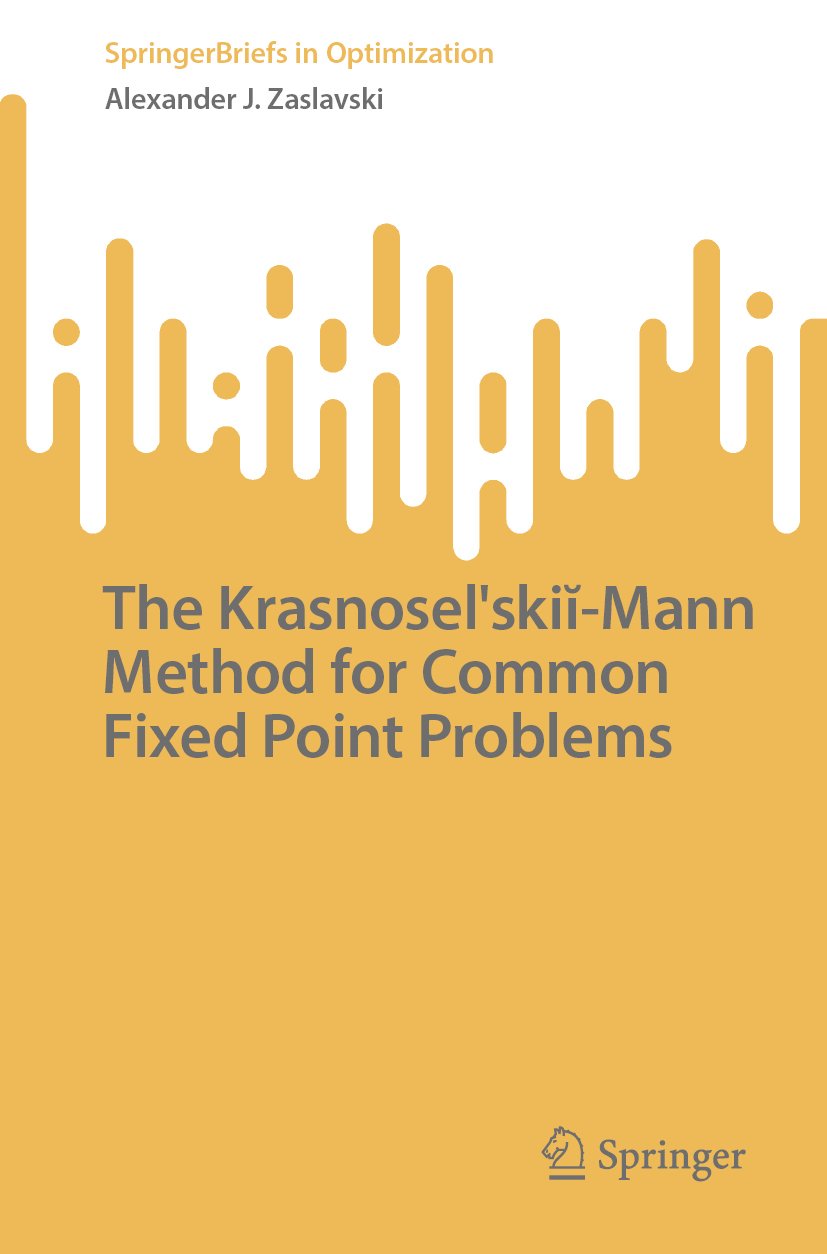 SpringerBriefs in Optimization