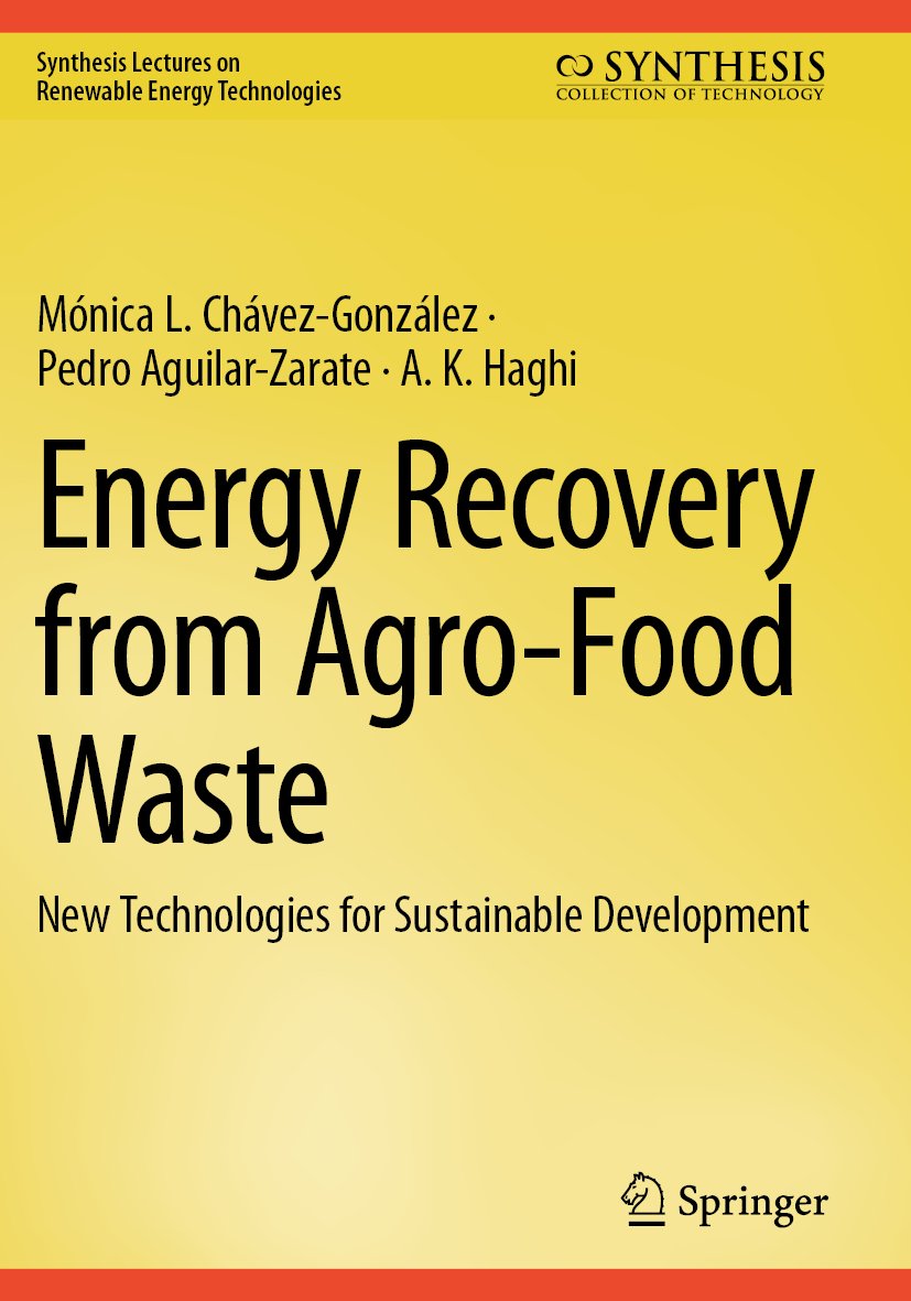 Energy Recovery from Agro-Food Waste