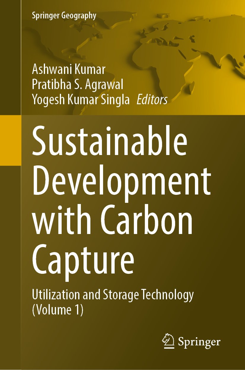 Sustainable Development with Carbon Capture