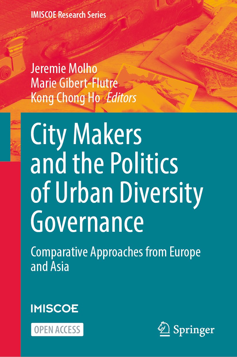 IMISCOE Research Series