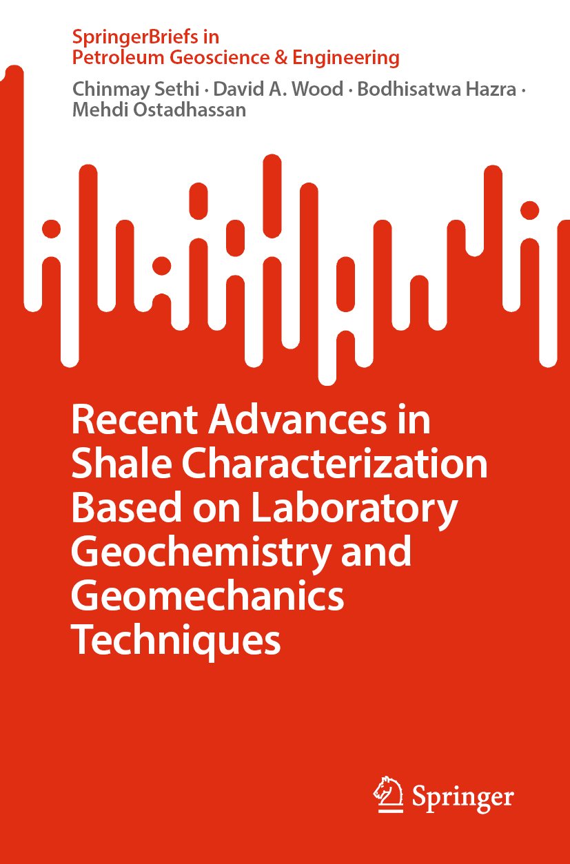 SpringerBriefs in Petroleum Geoscience & Engineering