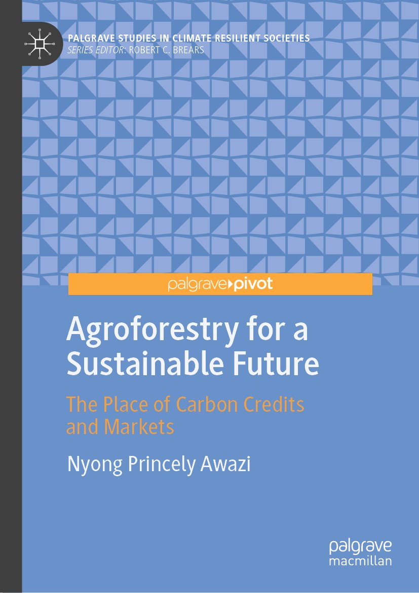 Palgrave Studies in Climate Resilient Societies