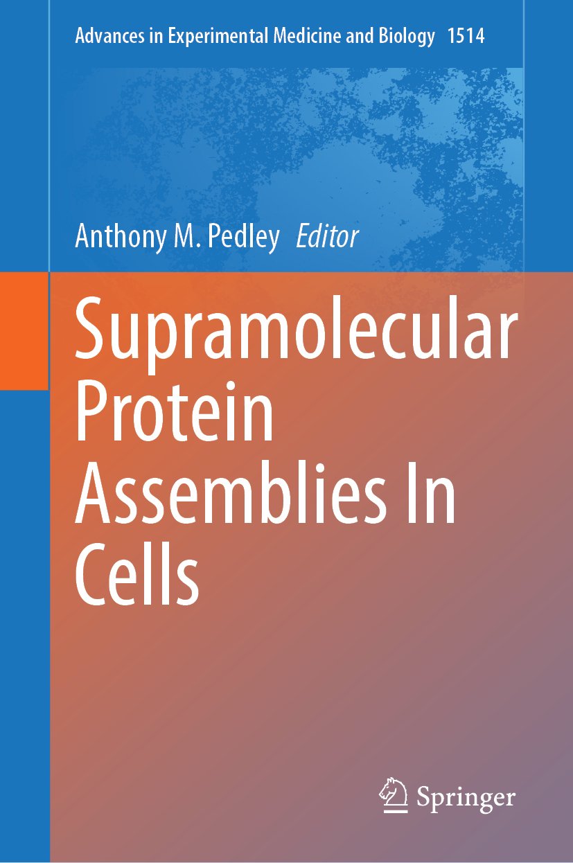 Supramolecular Protein Assemblies In Cells