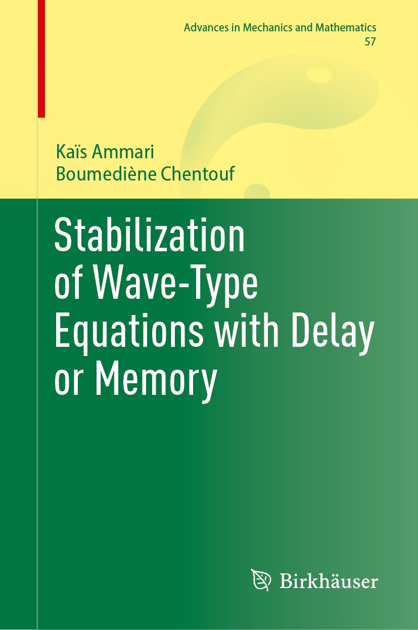 Stabilization of Wave-Type Equations with Delay or Memory