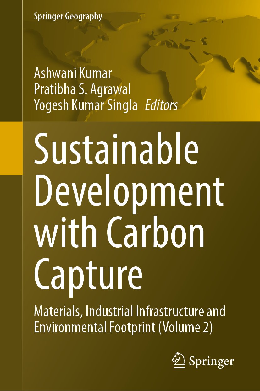 Sustainable Development with Carbon Capture