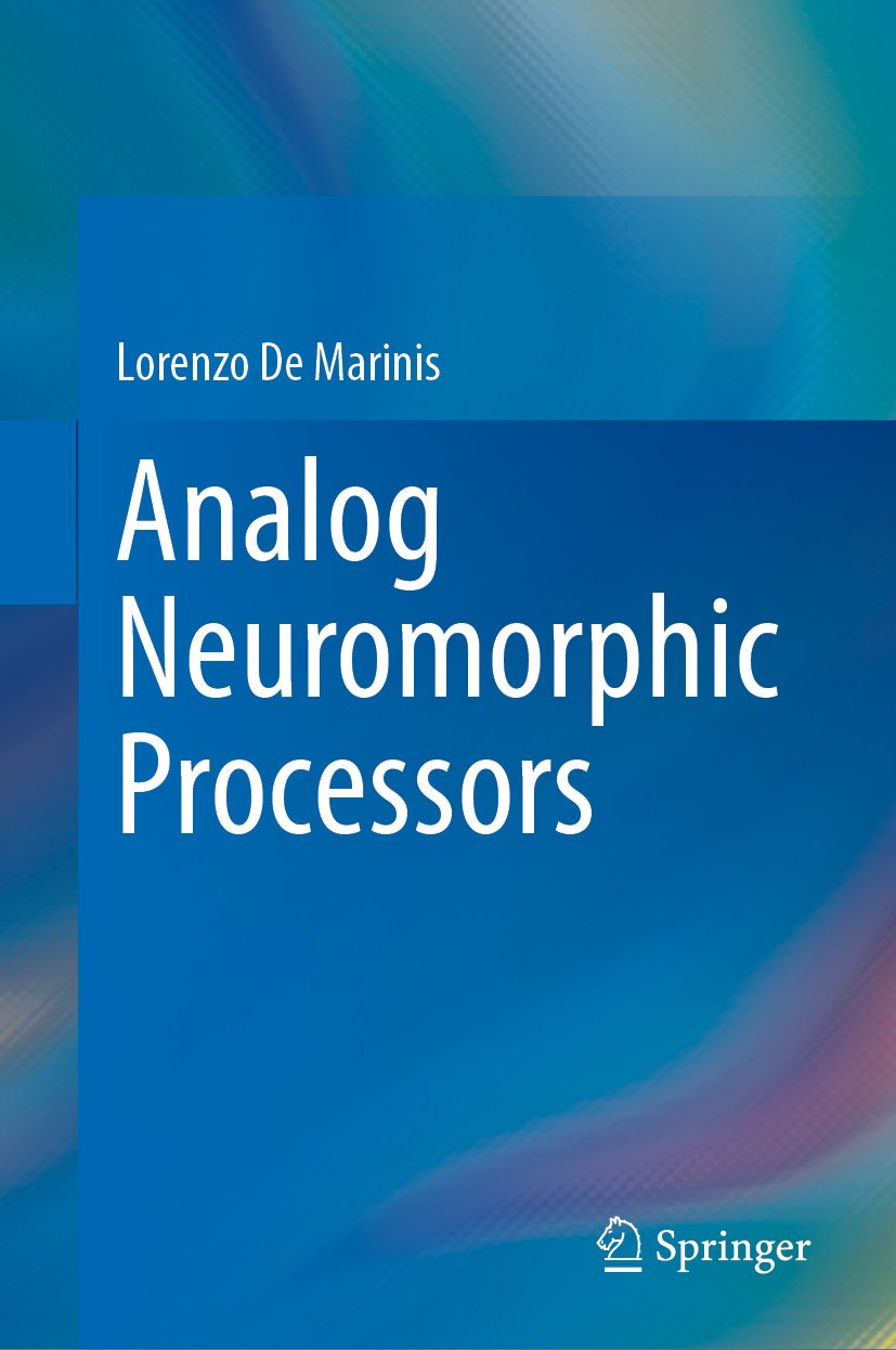 Analog Neuromorphic Processors