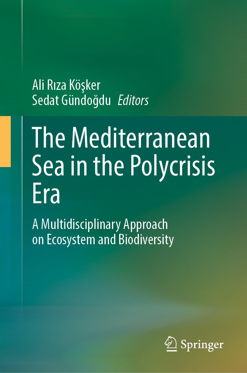 The Mediterranean Sea in the Polycrisis Era