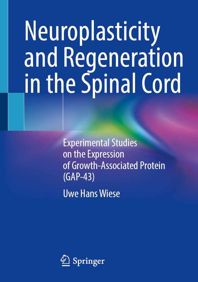 Neuroplasticity and Regeneration in the Spinal Cord