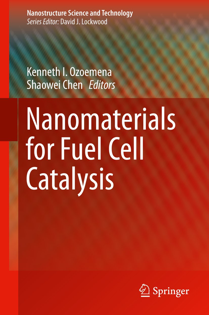 Nanostructure Science and Technology
