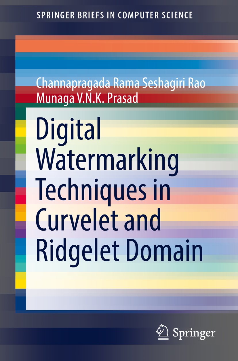 SpringerBriefs in Computer Science