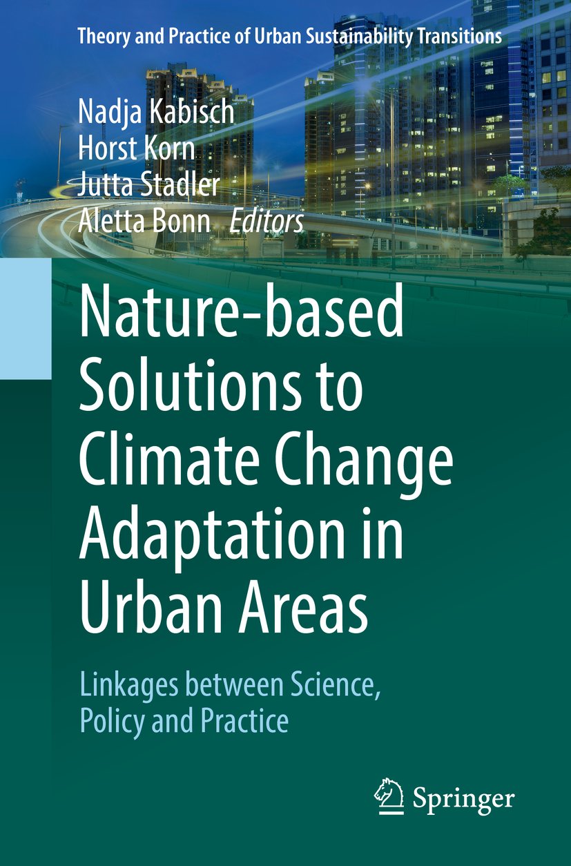 Theory and Practice of Urban Sustainability Transitions